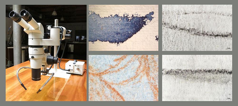 Stereomicroscope in Thaw Conceervation Center and images