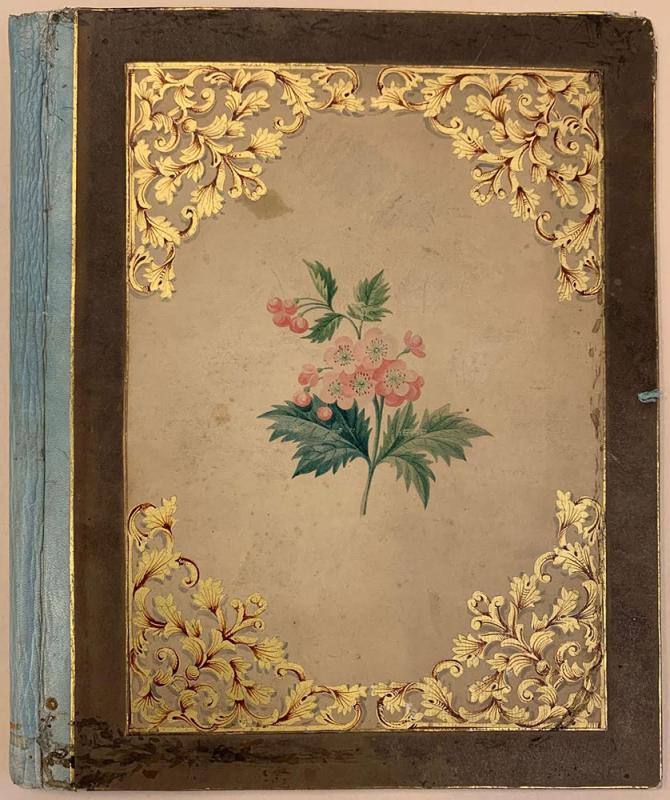 Pink flowers with green stems surrounded by decorative floral border.